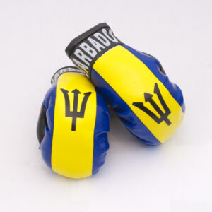 Barbados Boxing Gloves