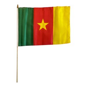 Cameroon 12x18 Flag