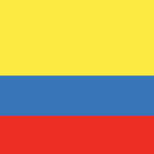 Colombia 36x60 Flag