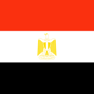 Egypt 36x60 Flag