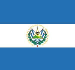 El Salvador 36x60 Flag