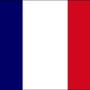 Guadeloupe 36x60 Flag