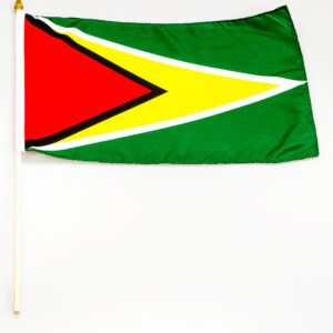 Guyana 12x18 Flag