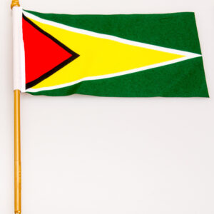 Guyana 4x6 Flag