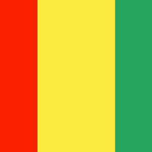 Guinea 36x60 Flag