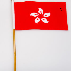 Hong Kong 4x6 Flag
