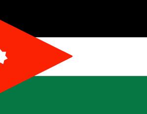 Jordan 36x60 Flag