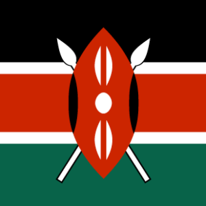 Kenya 36x60 Flag