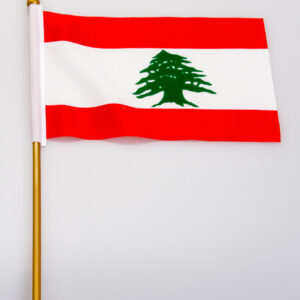 Lebanon 6x9 Flag