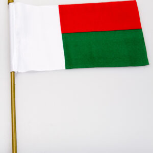 Madagascar  12x18 Flag