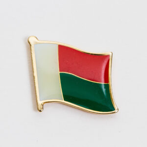 Madagascar Lapel Pin