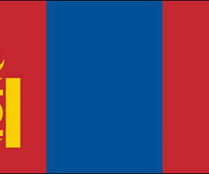 Mongolia 36x60 Flag