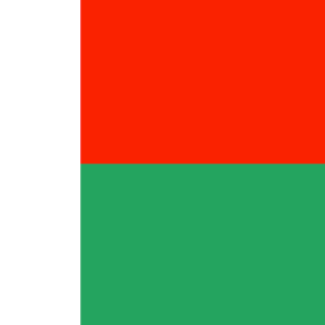 Madagascar 36x60 Flag