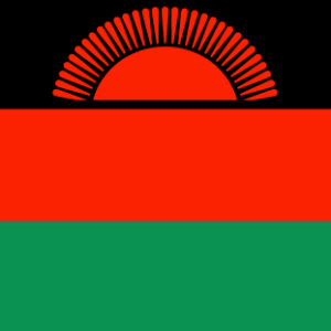 Malawi 36x60 Flag