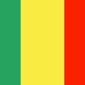 Mali 36x60 Flag