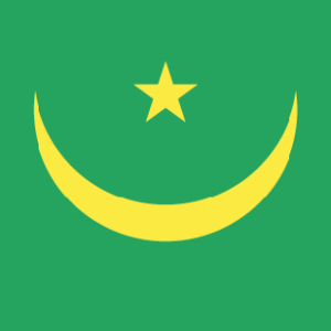 Mauritania 36x60 Flag