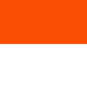 Monaco 36x60 Flag