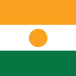 Niger 36x60 Flag