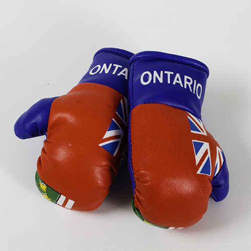 Ontario Boxing Gloves Flag Matrix
