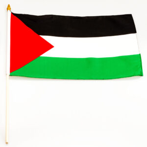 Palestine 12x18 Flag