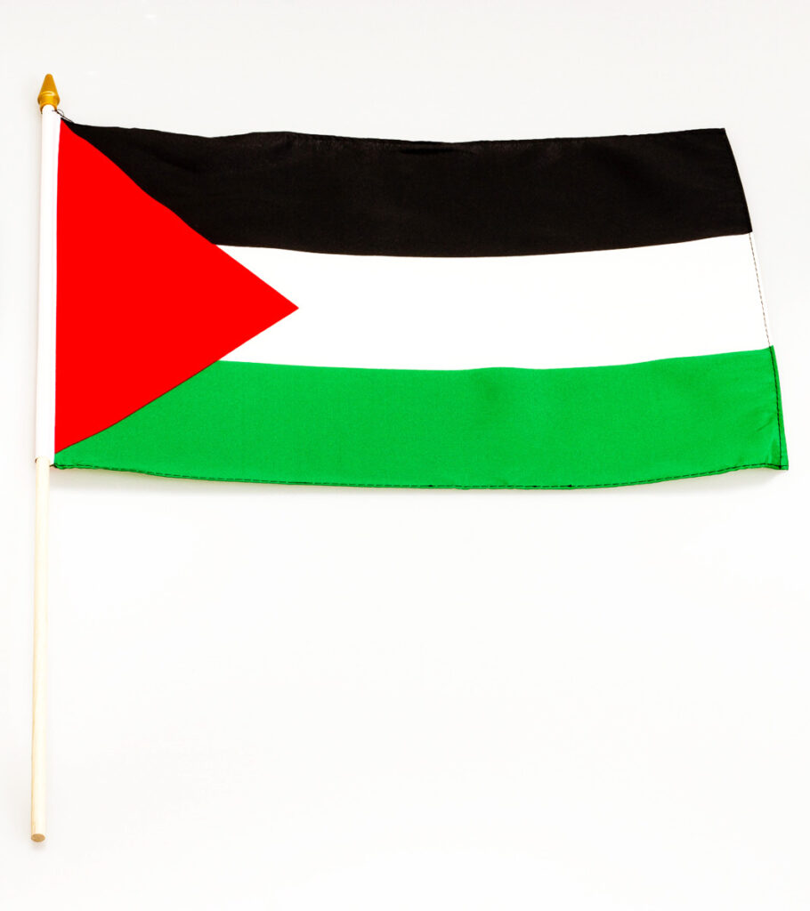 12x18 30.5cmx45.7cm Palestina Manica Bandiera Barca Auto Giardino 12x18 30.5cmx45.7cm Palestina Manica Bandiera Barca Auto Giardino