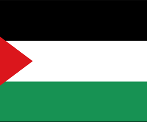 Palestine 36x60 Flag