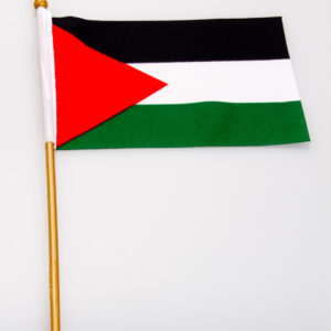 Palestine 4x6 Flag
