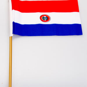 Paraguay 4x6 Flag