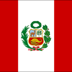 Peru 36x60 Flag