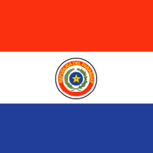 Paraguay 36x60 Flag