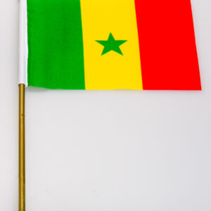 Senegal 4x6 Flag