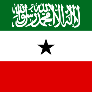 Somaliland 36x60 Flag