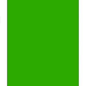 Green 30"x138" Swooper Flag