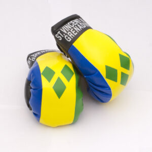 St. Vincent Boxing Gloves