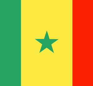 Senegal 36x60 Flag