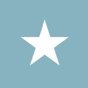 Somalia 36x60 Flag
