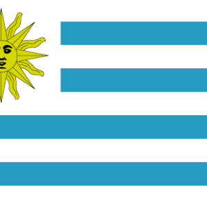 Uruguay 36x60 Flag