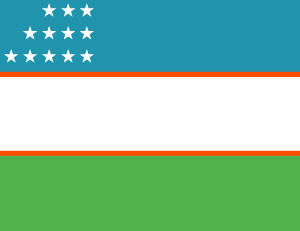 Uzbekistan 36x60 Flag