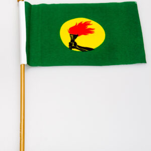 Zaire (Old) 12x18 Flag