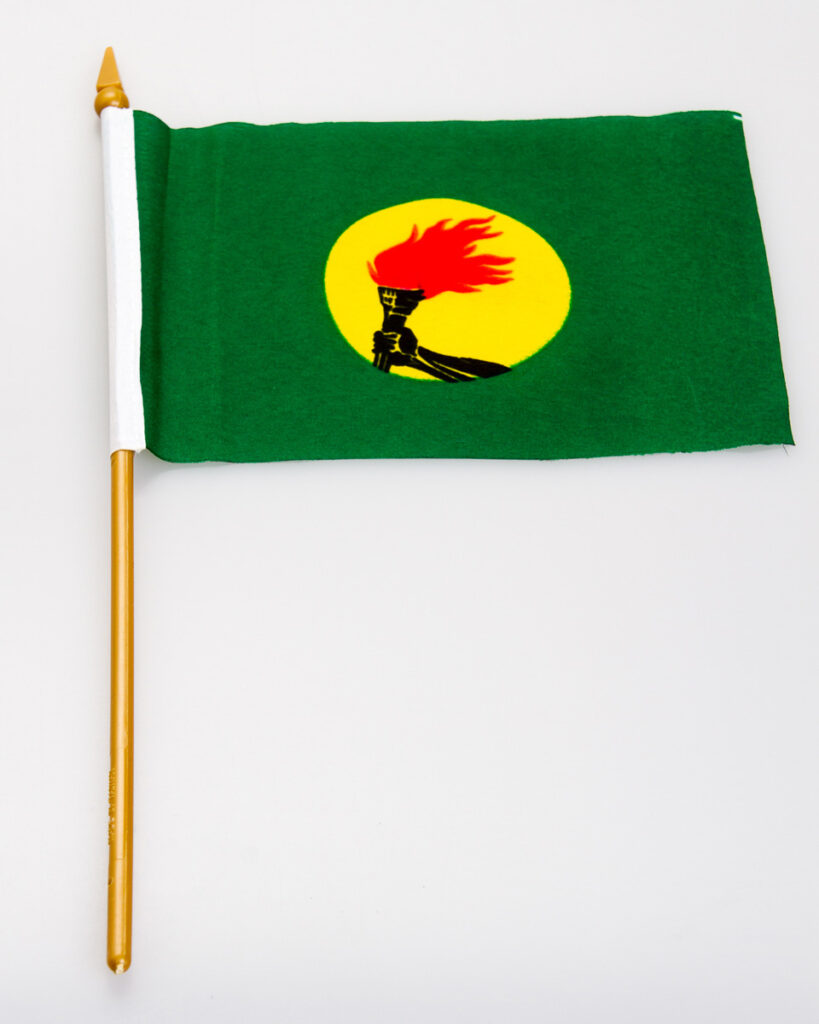 Zaire (Old) 4×6 Flag Flag Matrix