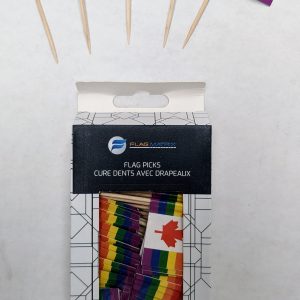 Rainbow Canada Toothpick Flag (100 Pack)