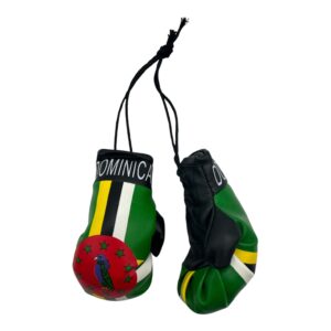 Dominica Boxing Gloves
